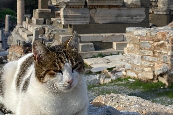 NO HIDDEN FEES : Ephesus, Virgin Mary's House, St. John Basilica - What’s Included and What Not