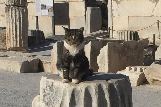 NO HIDDEN FEES Private Ephesus with skip the line tickets - The Temple of Artemis: A Brief Photo Stop