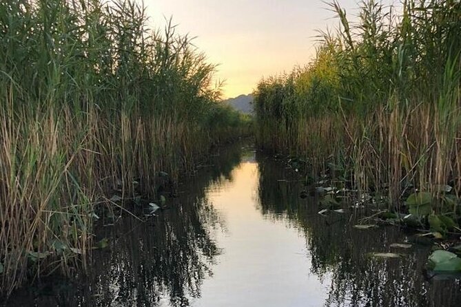 Noah's Ark Skadar Lake Journey - Local Cuisine and Accommodation Options in Virpazar