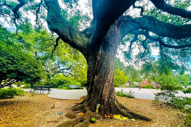 Nola Voodoo Walking Tour with High Priestess Guide in New Orleans - Practical Details: Group Size, Meeting Point, and Timing