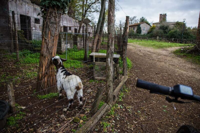 Nomentano Bridge and Garden City: e-biking in the Aniene River Reserve - Cervelletta Park: Medieval Atmosphere and Calm Views