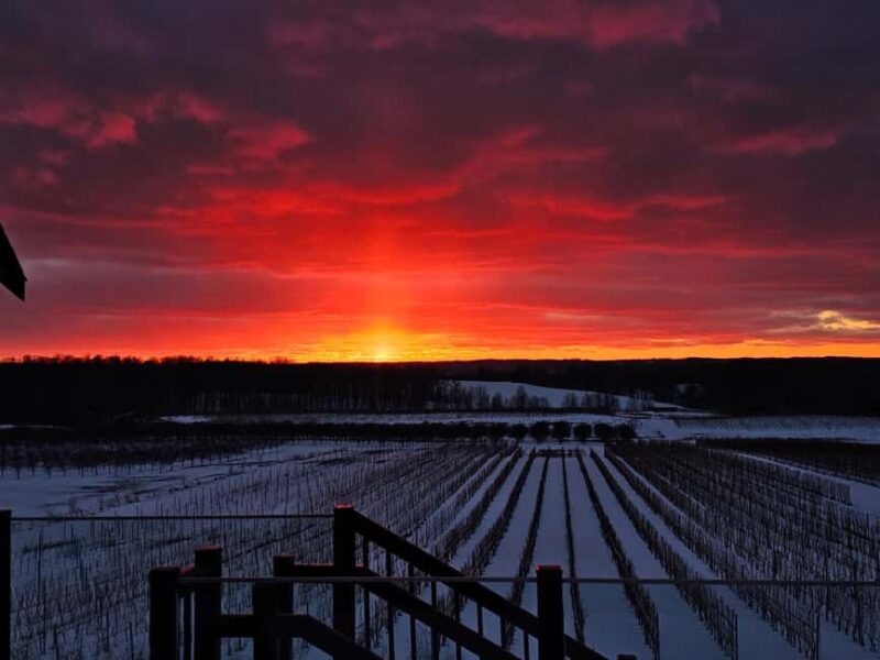 NON BUS 3 Winery Old Mission Peninsula Sunset Wine Tour - The Expertise and Personal Touch of the Guides