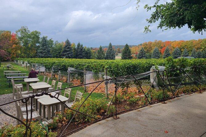 NON BUS FALL COLORS Traverse City Old Mission Wine Tour - Why Choose This Tour Over Others?