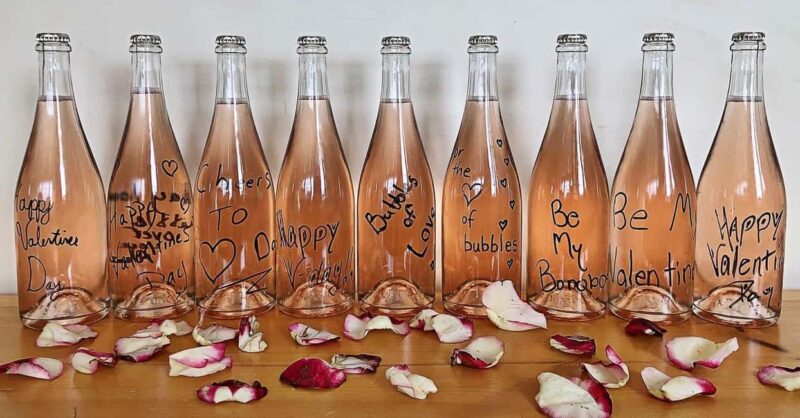 NON BUS Sunday Funday Traverse City Old Mission Wine Tour - Discover the Luxury of the Non-Bus Sunday Funday Traverse City Old Mission Wine Tour