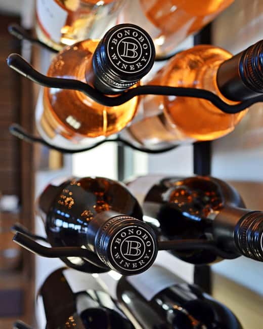 NON BUS Sunday Funday Traverse City Old Mission Wine Tour - Key Points