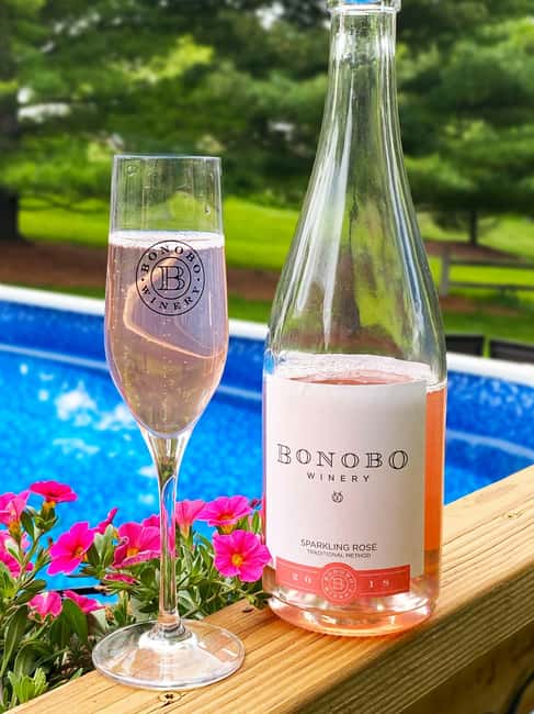 NON BUS Sunday Funday Traverse City Old Mission Wine Tour - The Expertise of the Guides and Their Personal Touch