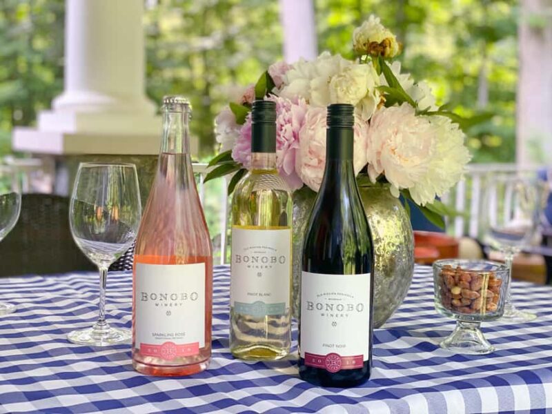 NON BUS Sunday Funday Traverse City Old Mission Wine Tour - Final Thoughts on the Traverse City Old Mission Wine Tour