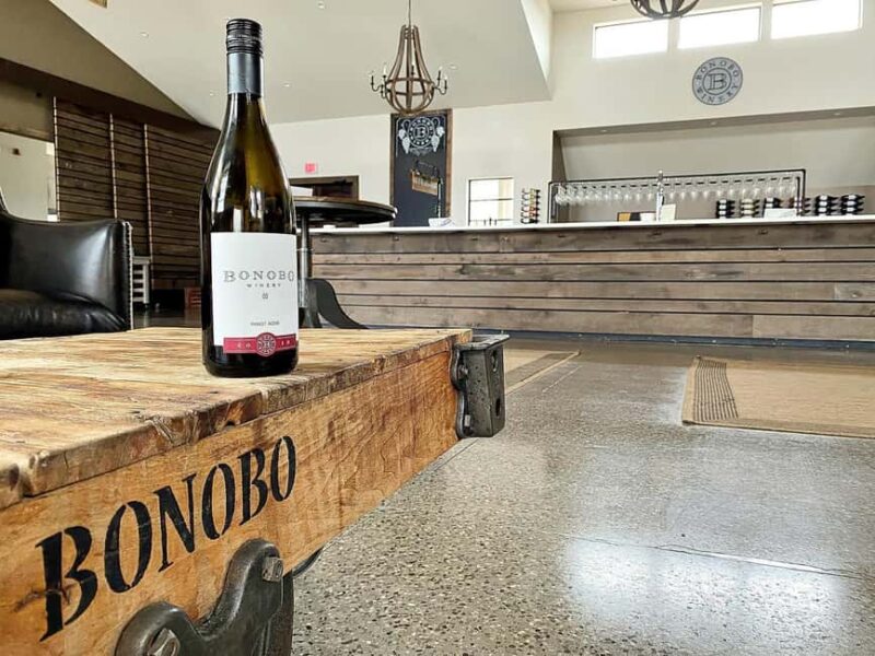 NON BUS VIP Red Wine Lovers Old Mission Traverse Wine Tour - Practical Tips for Participants