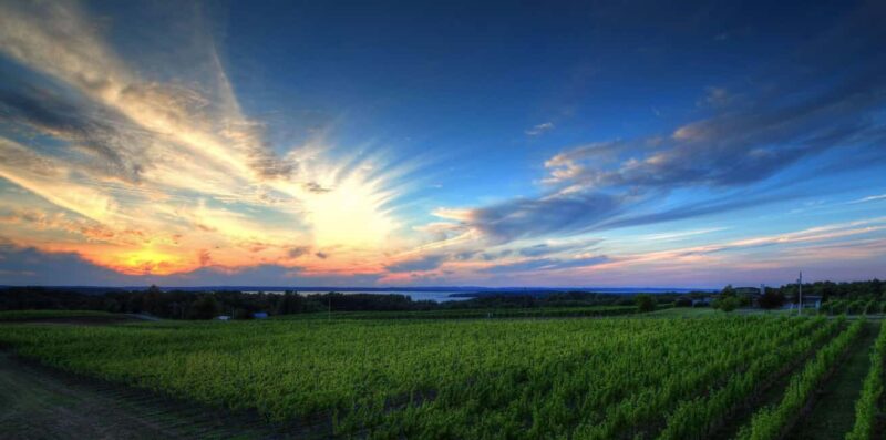 NON BUS White Wine Lover Old Mission Traverse City Wine Tour - Flexibility and Cancellation Policy