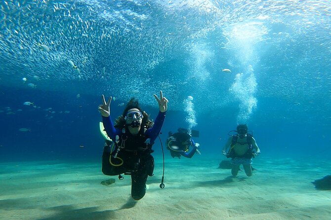 Non-Certified Diving Adventure in Cabo San Lucas - Key Points