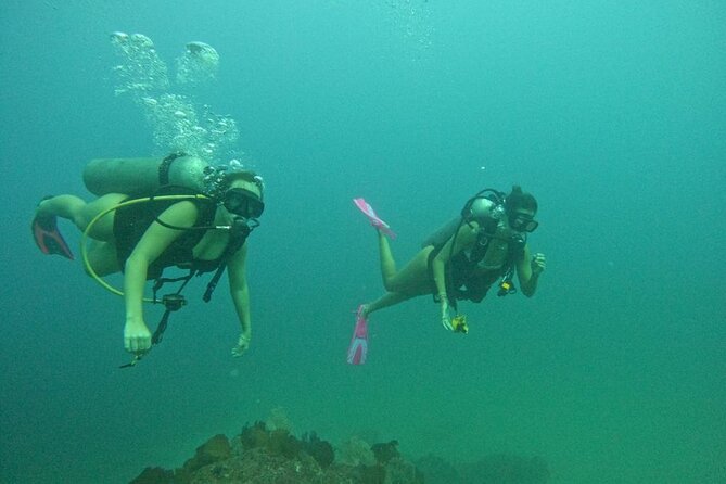 Non-Certified Diving Adventure in Cabo San Lucas - How the Tour Manages Timing and Group Size