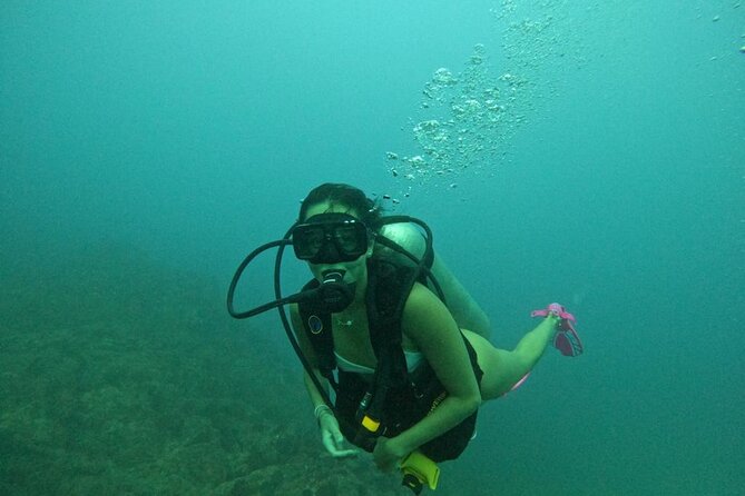 Non-Certified Diving Adventure in Cabo San Lucas - What’s Included and What’s Not