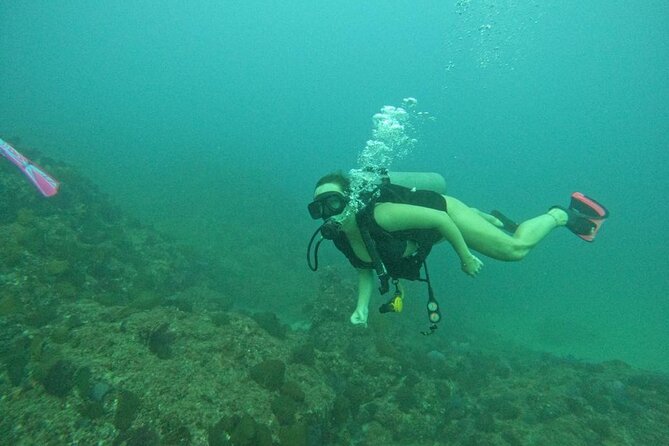 Non-Certified Diving Adventure in Cabo San Lucas - The Role of Guides and Safety Protocols