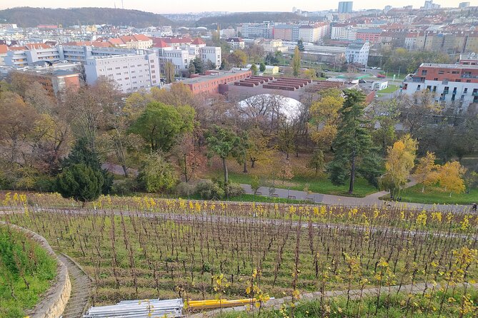 Non-touristy Prague - Cozy Neighborhoods - Private Tour - Zizkov Television Tower: The City’s Quirky Landmark