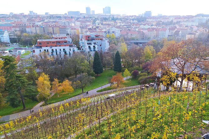 Non-touristy Prague - Cozy Neighborhoods - Private Tour - Parukarka Park: Scenic Hill Views