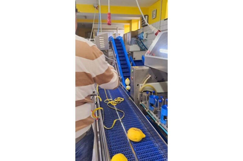 Nonna Concettina Sorrento lemon tour Lemon Tour - Practical Details: Booking, Accessibility, and Flexibility