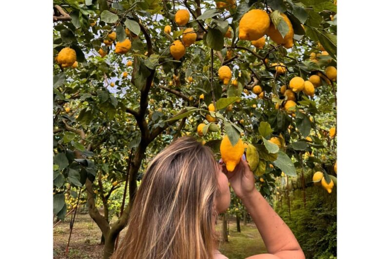 Nonno Mario Lemon Tour - The Unique Charm of the Nonno Mario Lemon Tour in Campania