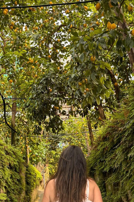 Nonno Mario Lemon Tour - The Optional Meal: Extended Taste of Sorrento