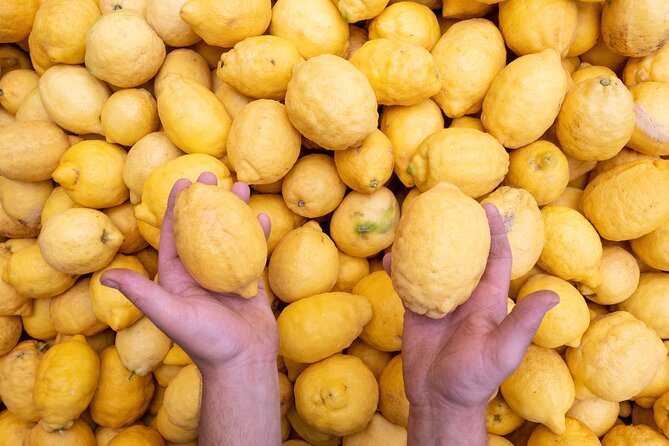 Nonno Mario Sorrento Lemon tour - Exploring the Ancient Lemon Grove in Sorrento