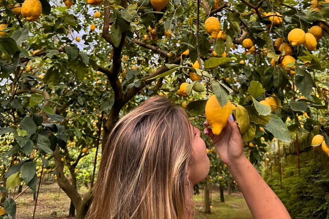 Nonno Mario Sorrento Lemon tour - Meeting Chef Carmine and Enjoying the Dessert