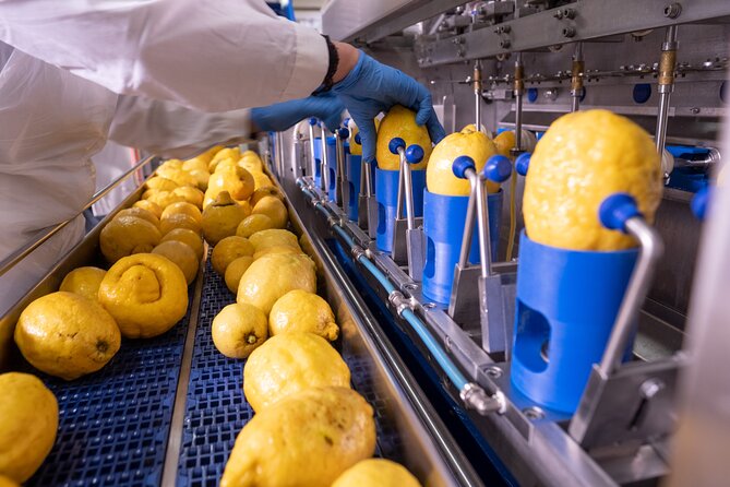 Nonno Mario Sorrento Lemon tour - Why This Tour Stands Out in Sorrento