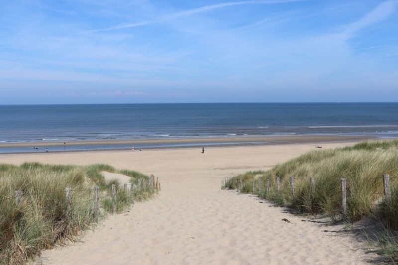Noordwijk: Beach and Dunes Bike Tour - Key Points