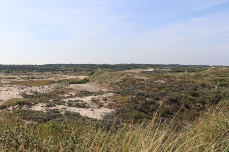 Noordwijk: Beach and Dunes Bike Tour - Logistics and Practical Tips for Participants