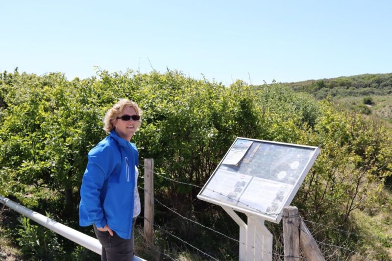 Noordwijk: Beach and Dunes Bike Tour - Safety, Weather, and Accessibility