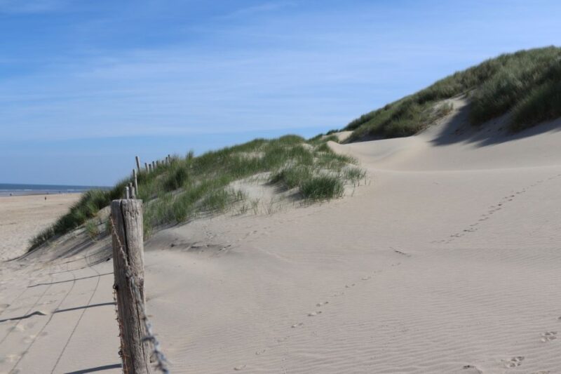 Noordwijk: Beach and Dunes Bike Tour - Who Will Appreciate This Tour Most