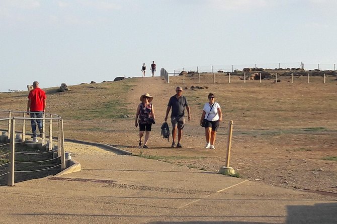 Nora Tour from Cagliari - Santa Gilla Lagoon and Pink Flamingos Observation