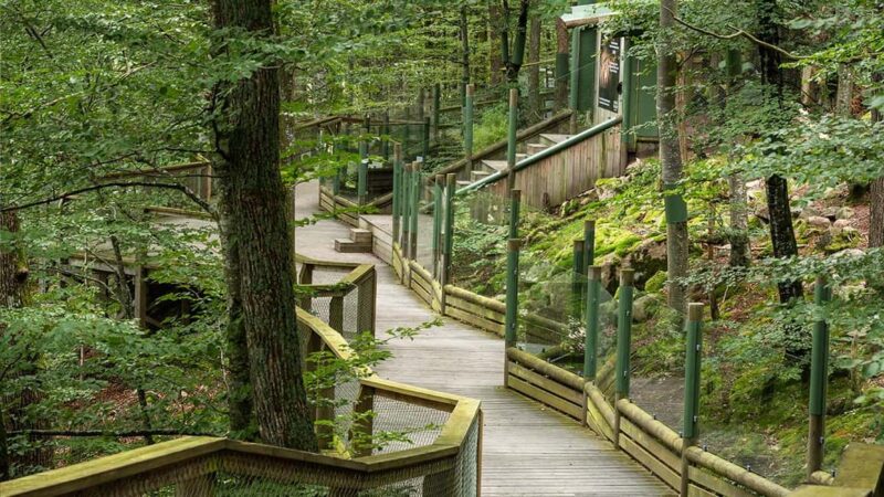 Nordens Ark Entry Ticket - Getting to Nordens Ark: Easy and Accessible Location