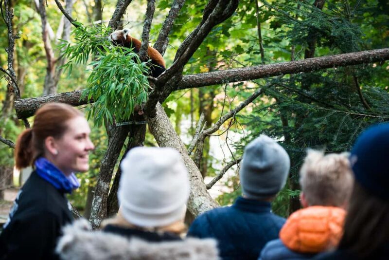 Nordens Ark Entry Ticket - What the Ticket Includes: Access and Additional Services