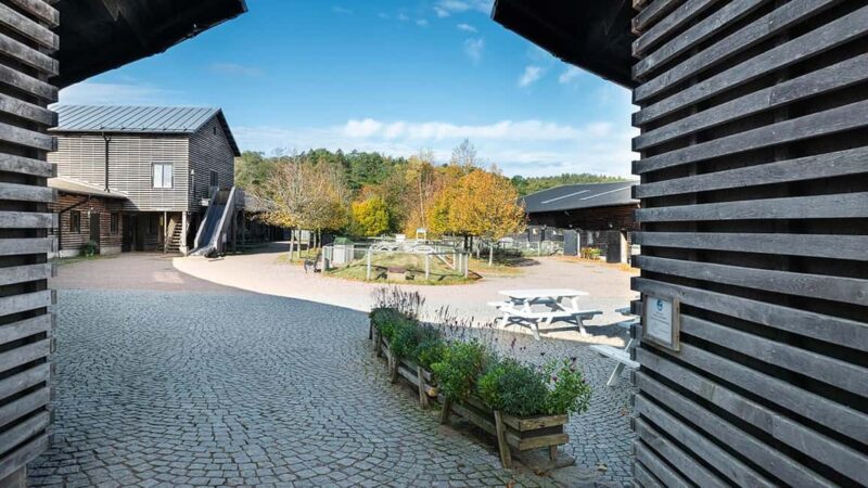 Nordens Ark Entry Ticket - What to Expect During Your Visit