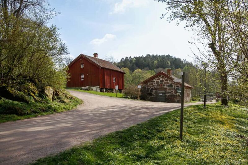 Nordens Ark Entry Ticket - Suitable Visitors and Accessibility Notes