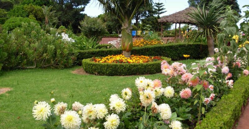 Nordeste Private Tour (2 people) - Logistics and Comfort