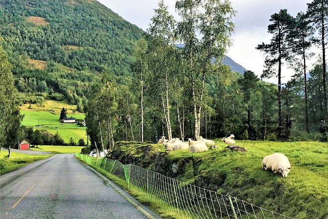 Nordfjordeid Private Shore Excursion, Glaciers and SkyLift Ride - Passing Through Stryn and the Gateway to Jostedalsbreen