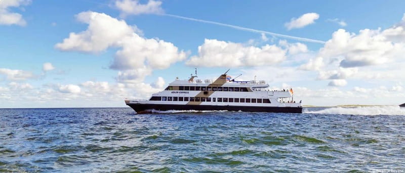 Nordstrand: Day trip by boat to Föhr - Key Points