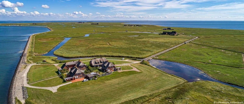 Nordstrand: Daytrip by boat to Amrum - Hallig Hooge’s Authenticity and Natural Charm