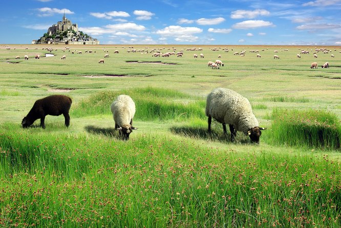 Normandy and Loire 3 Days Trip with Mont Saint Michel from Paris - Normandy’s WWII Landings and Historic Towns