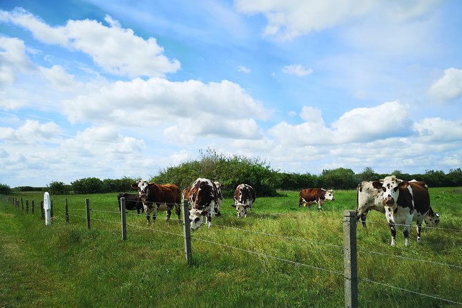 Normandy Battlefields Tour - Sword Beach and the British Airborne Sector (B2) - Paying Respects at Ranville Commonwealth War Cemetery