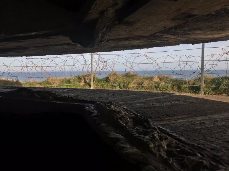 Normandy D-Day All Day Tour by Minibus from Paris - Who Will Appreciate This Normandy Tour?