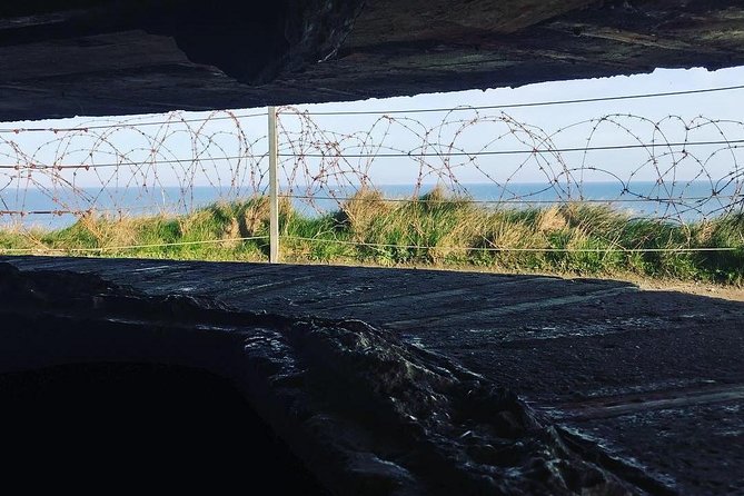 Normandy D-Day Landing Beaches Small-Group Day Trip from Paris - The Role of the Guide and Commentary