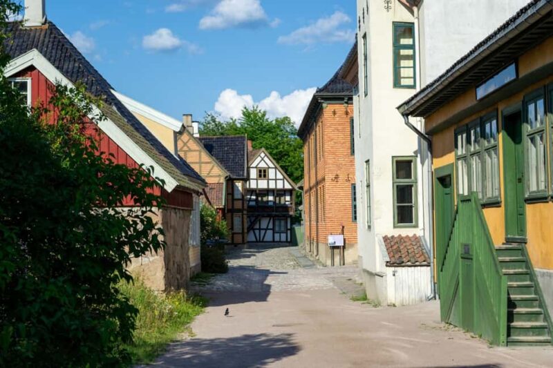 Norsk Folkemuseum Oslo Private Tour & Skip-the-Line Tickets - Booking Flexibility and Multilingual Guides