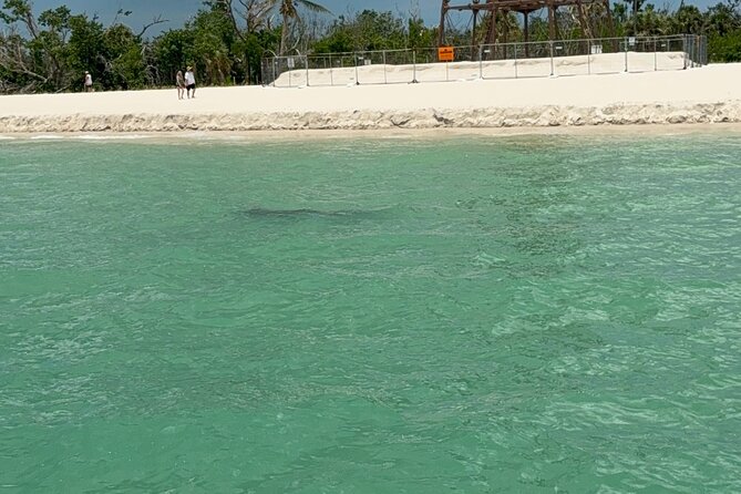 North Captiva, Island Club Day Excursion From Fort Myers Beach - The Return Cruise and Scenic Views