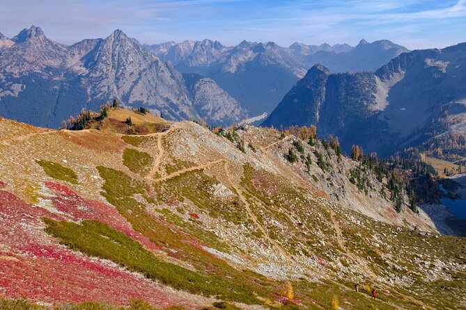 North Cascades National Park Self-Guided Audio Tour - Forest Walks and High-Altitude Passes