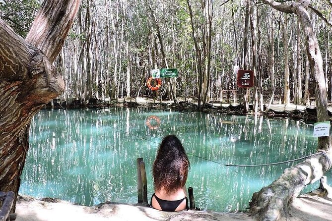 North Coast Adventure Isla Columpio Puerto Progreso and Chuburná - Visiting Isla Columpio: Natural Water Holes and Wildlife