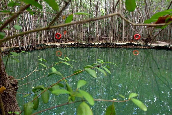 North Coast Adventure Isla Columpio Puerto Progreso and Chuburná - The Guided Experience and Group Size