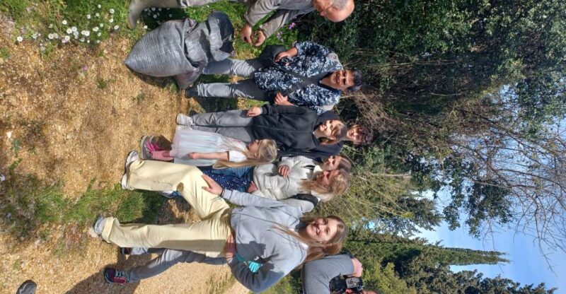 North Corfu Olive Tour with Olive Oil Tasting and Meze - North Corfu Olive Tour: An Authentic Taste of the Island