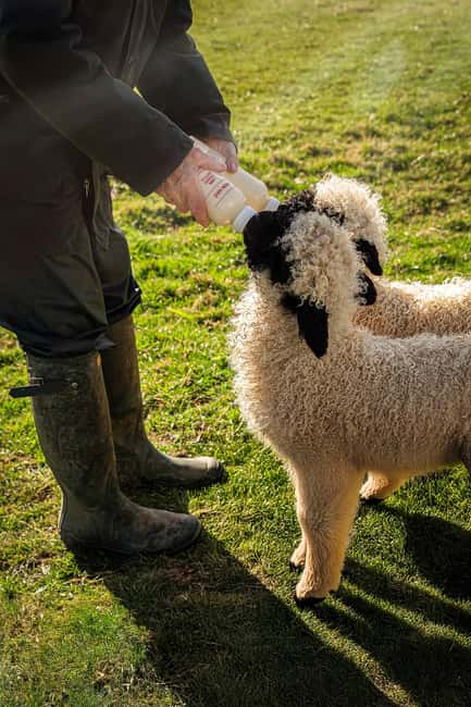 North Cotswolds: Farm Experiences at The Vodka Farm - What Makes This Experience Stand Out