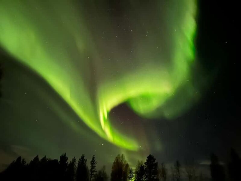 North, Dogs, Snowmobiles & Lights - Key Points